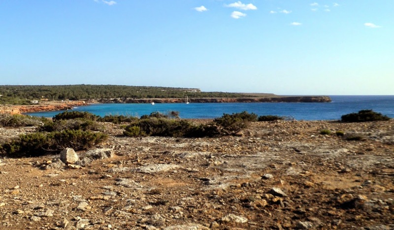 ForCala
