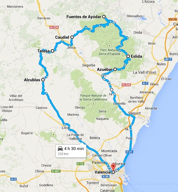 RUTA ENTRE PINOS