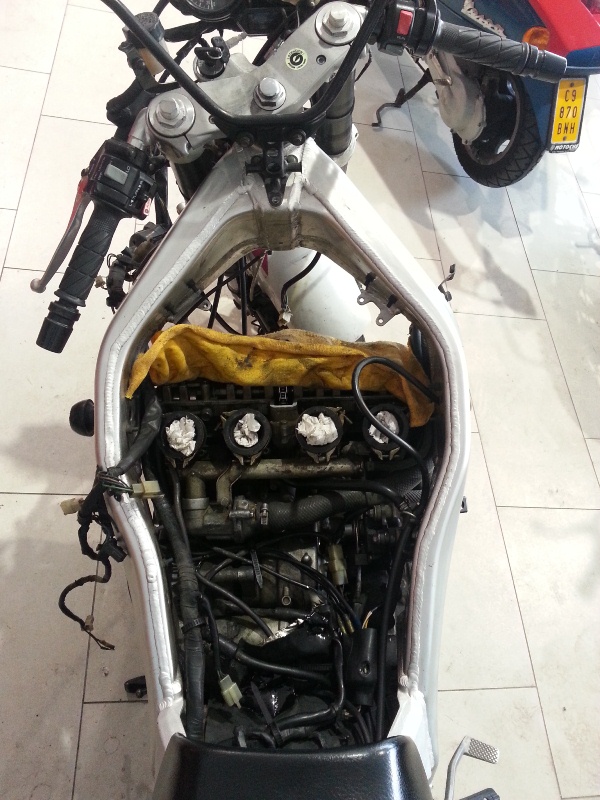 YZ 2