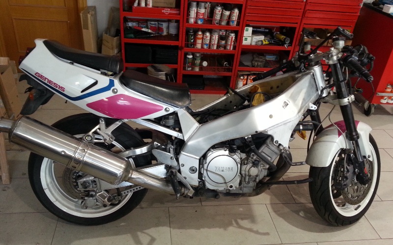 YZ 5