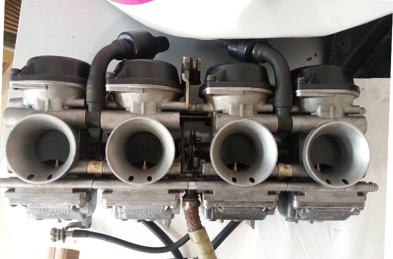 YZ 7
